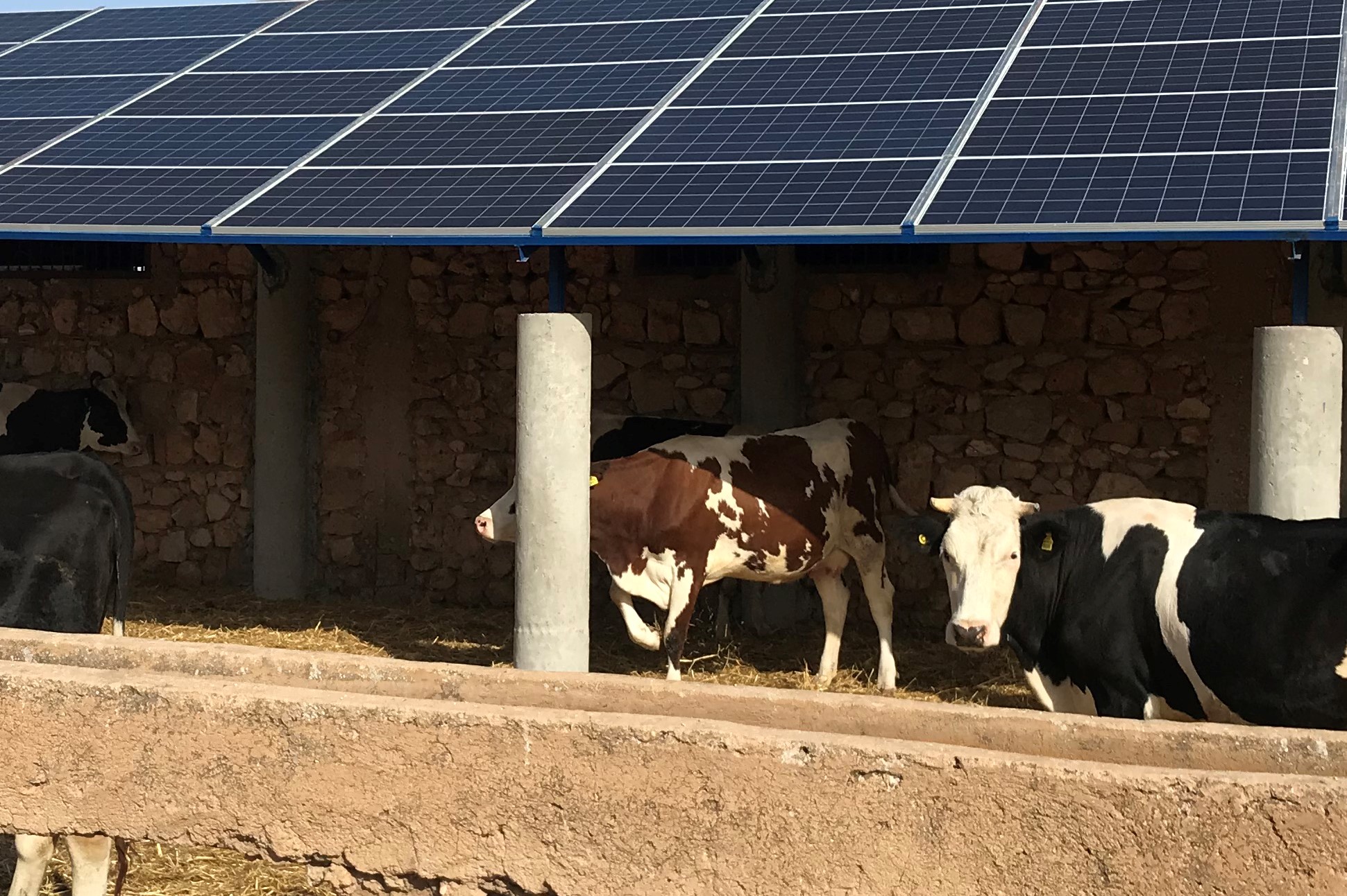306 NACIRI - Solar extension