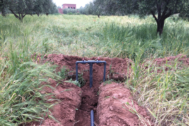 irrigation2